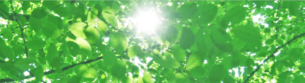 土地開発は株式会社グランステイ